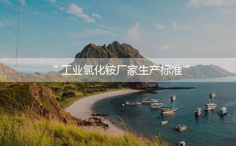 工業(yè)氯化銨廠家生產(chǎn)標(biāo)準(zhǔn)，生產(chǎn)過程進(jìn)行嚴(yán)密的監(jiān)控！