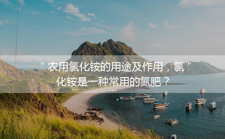 農(nóng)用氯化銨的用途及作用，氯化銨是一種常用的氮肥？